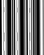 Bold Black White Vertical Stripe Rug