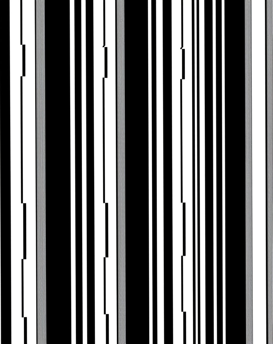 Bold Black White Vertical Stripe Rug