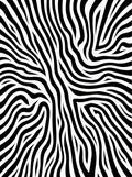 Abstract Black White Organic Lines Rug