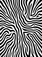 Abstract Black White Organic Lines Rug