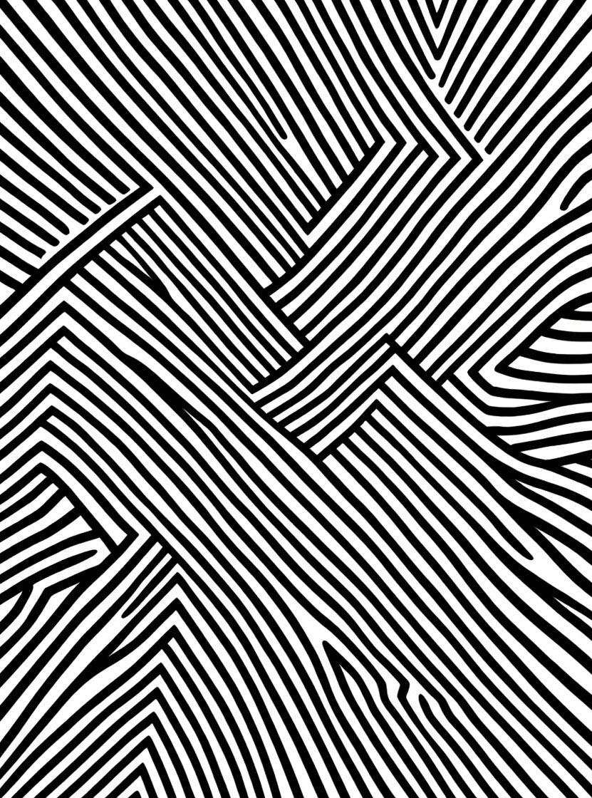 Bold Black and White Abstract Lines Rug