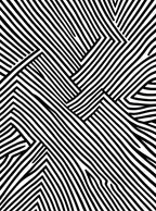 Bold Black and White Abstract Lines Rug