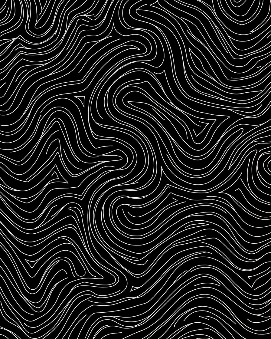 Black White Wavy Line Flow Rug