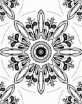 Black White Geometric Starburst Medallion Rug