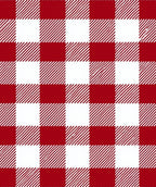 Classic Red White Gingham Check Rug