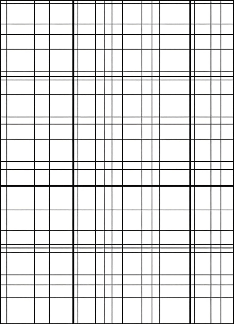Classic Black White Grid Lines Rug