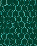 Teal Hexagonal Grid Dark Green Rug