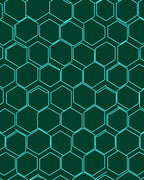 Teal Hexagonal Grid Dark Green Rug