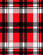 Bold Red Black Plaid Geometric Lines Rug