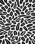Black Organic Seed Pod Cluster Rug