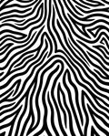 Sleek Monochrome Wavy Lines Rug