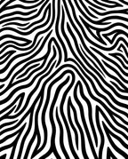 Sleek Monochrome Wavy Lines Rug