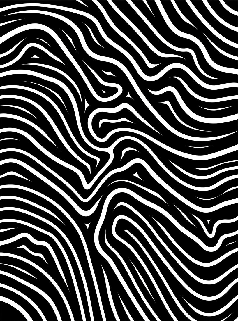 Black White Zebra Stripe Abstract Rug