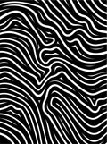Black White Zebra Stripe Abstract Rug