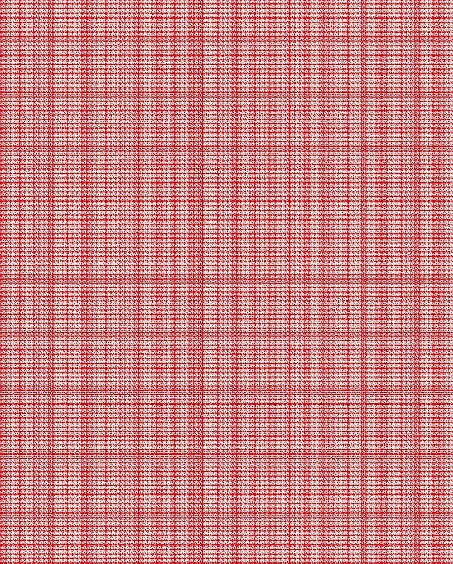 Classic Red White Checkered Textile Rug