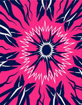 Radiant Floral Burst Pink Navy Rug
