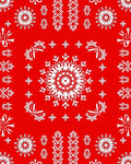 Bold Red and White Mandala Bloom Rug