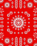 Bold Red and White Mandala Bloom Rug