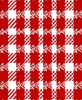 Red White Houndstooth Gingham Dash Rug