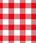 Bold Red White Gingham Check Rug