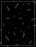 Cosmic Black White Scattered Shapes Rug