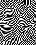 Monochrome Abstract Zebra Stripe Floor Covering Rug