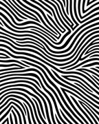 Monochrome Abstract Zebra Stripe Floor Covering Rug