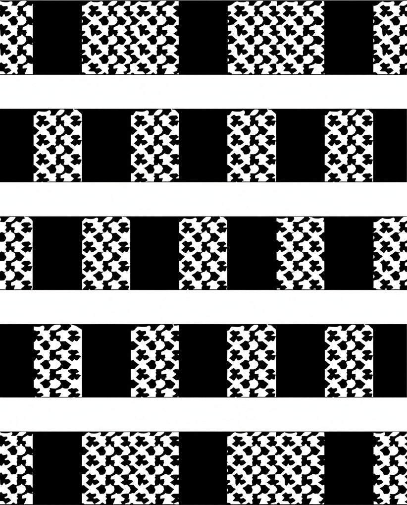 Graphic Black and White Optical Stripe Rug