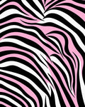 Pink Black White Zebra Stripe Rug
