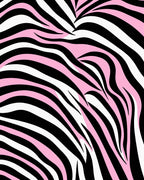 Pink Black White Zebra Stripe Rug