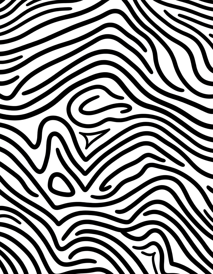 Black White Organic Contour Lines Rug