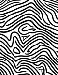 Black White Organic Contour Lines Rug