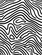 Black White Organic Contour Lines Rug