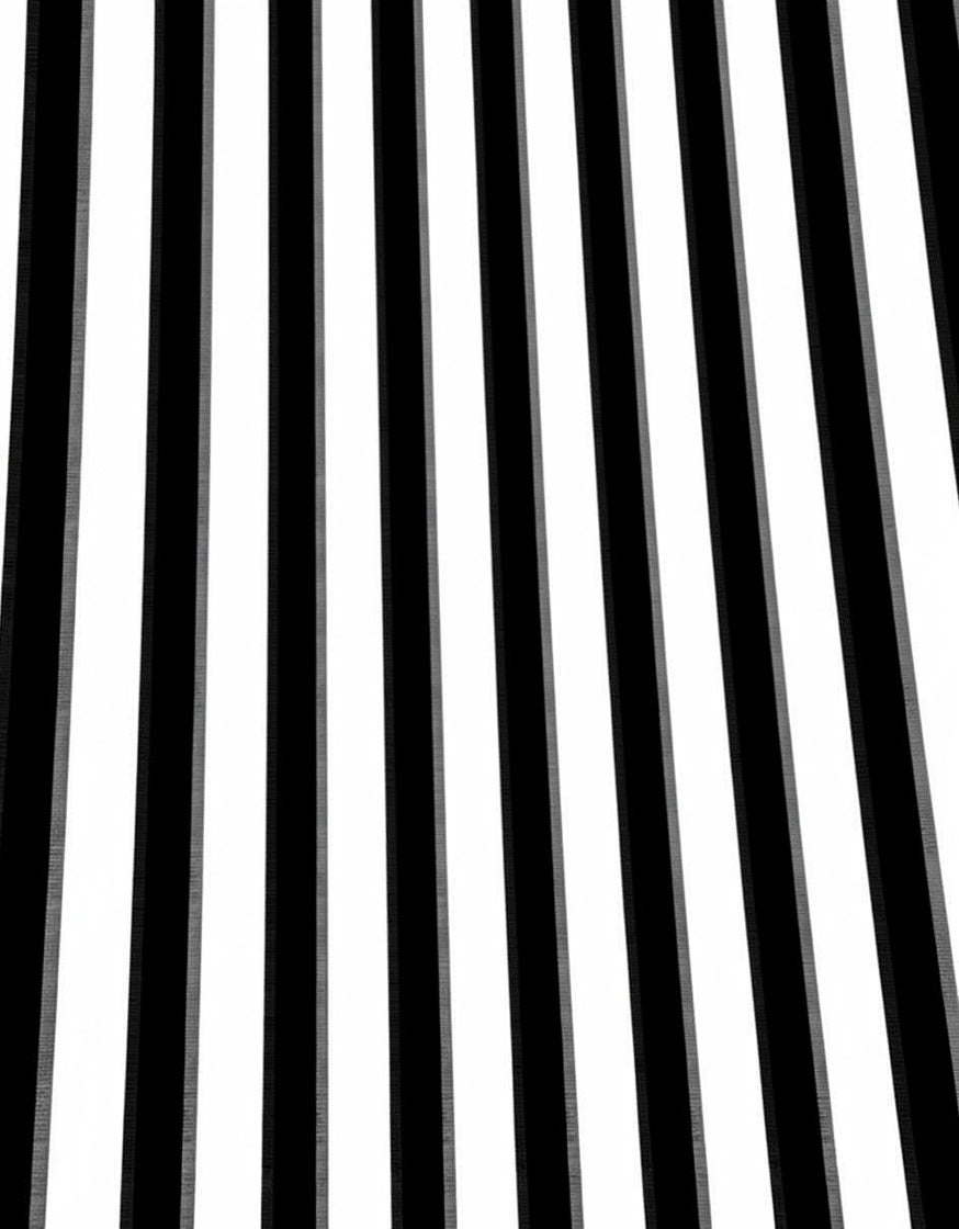 Bold Black White Vertical Stripe Rug
