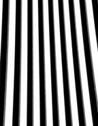 Bold Black White Vertical Stripe Rug