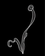 White Swirling Vine Abstract Rug