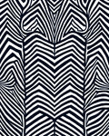 Bold Black White Zebra Stripe Rug