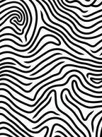Bold Black And White Organic Stripes Rug