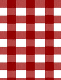 Bold Red White Buffalo Check Rug