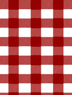Bold Red White Buffalo Check Rug
