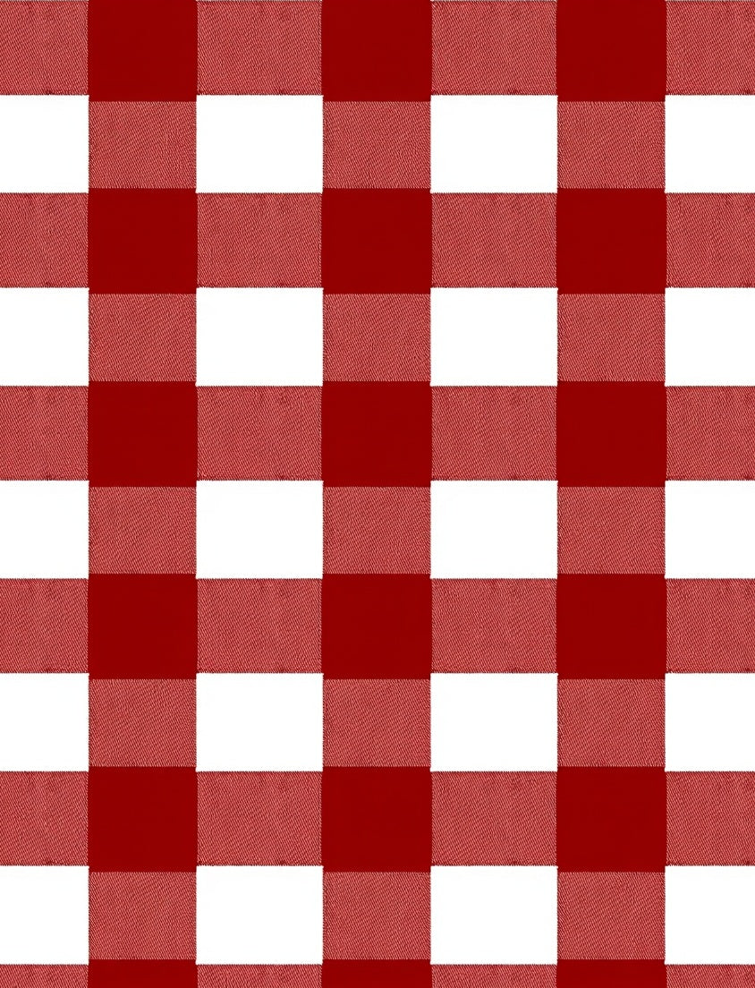 Bold Red White Buffalo Check Rug