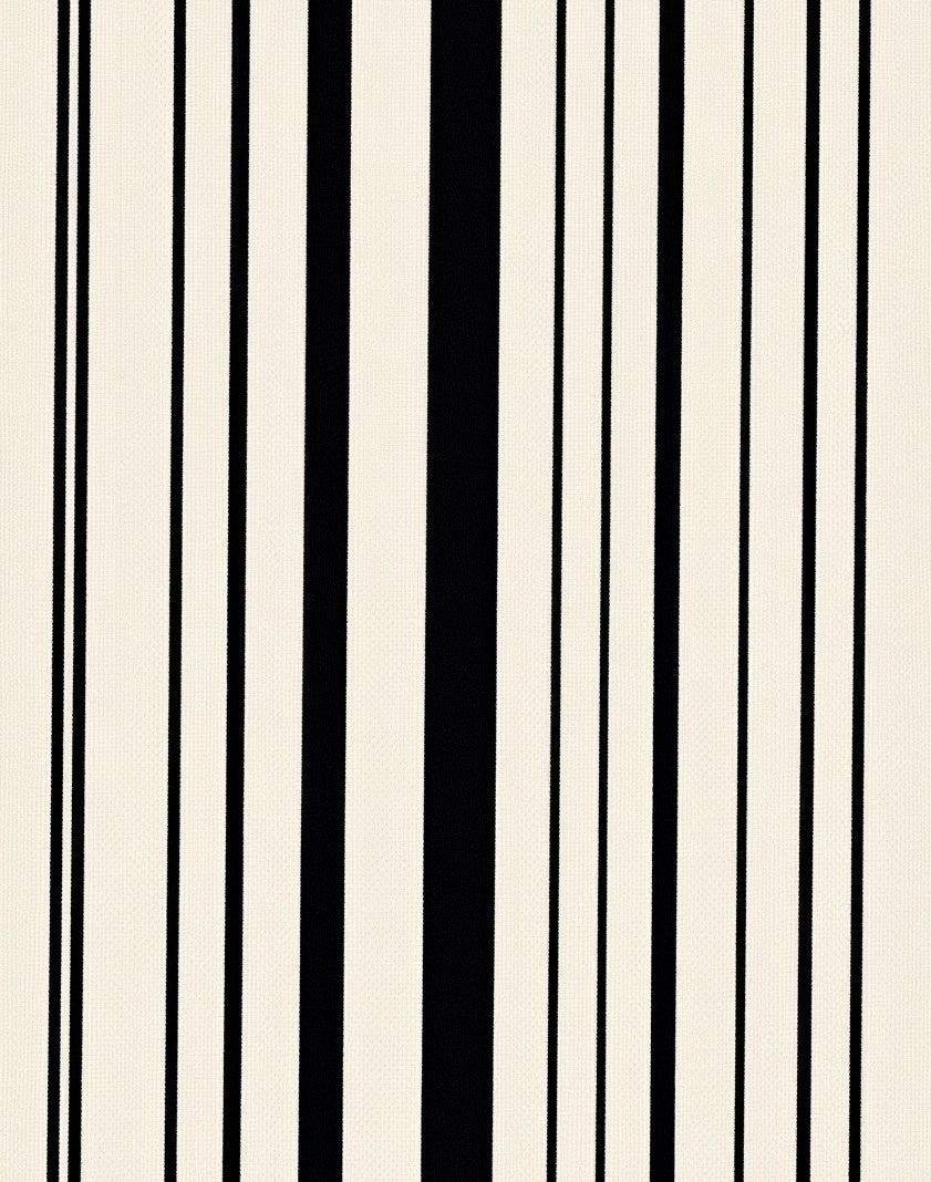 Modern Black Cream Vertical Stripes Rug