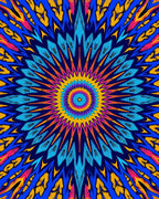 Vibrant Kaleidoscope Sunburst Medallion Rug