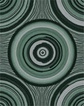 Muted Green Concentric Rings Stripes Rug