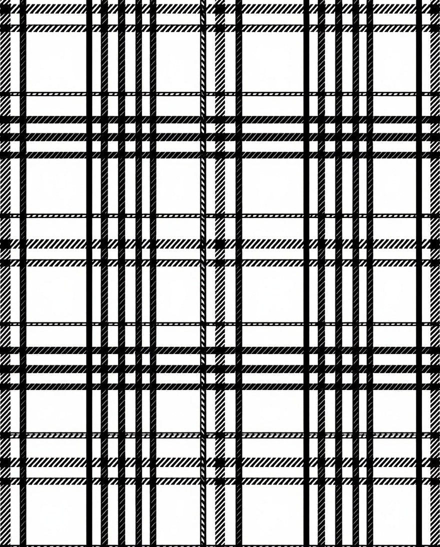 Classic Black White Plaid Lines Rug