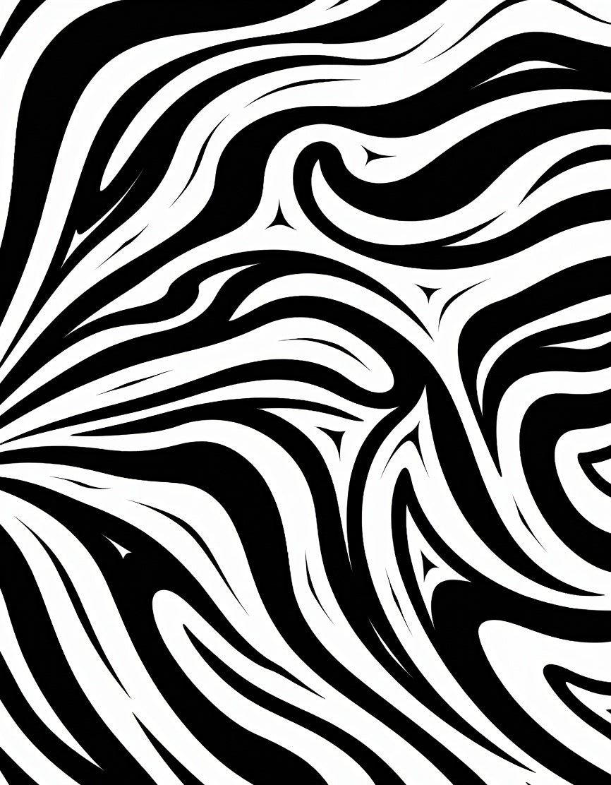 Bold Black White Swirling Stripes Rug