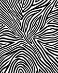 Bold Black White Zebra Lines Rug