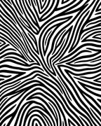 Bold Black White Zebra Lines Rug