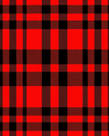 Bold Red Black Checked Plaid Rug