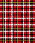 Bold Red Black White Plaid Check Rug